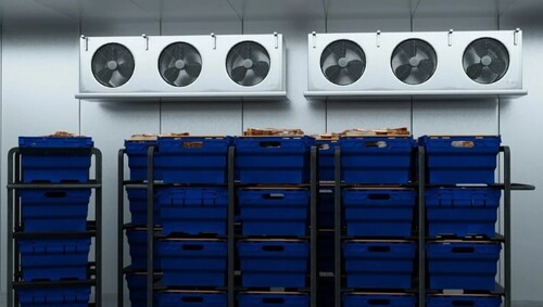 Frozen Cold Storage Room