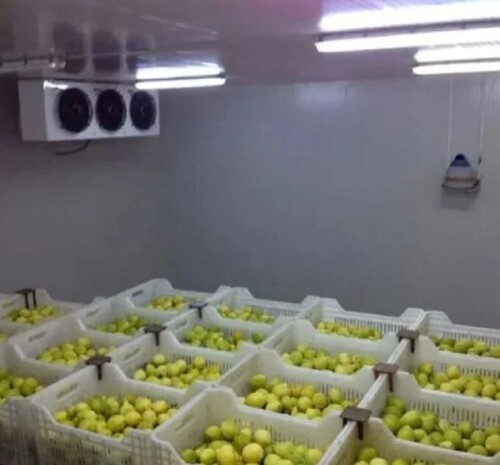Fruit Cold Storage Room - 1 MT Capacity Multi Door Fully Automatic | Customized Size Silver Finish Variable Voltage Options