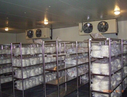 Industrial Cold Storage Room - 5T Capacity Emerson Compressor Single Phase Automatic | Customized Size White Color