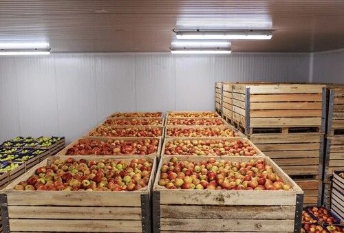 Vegetable Cold Storage Room