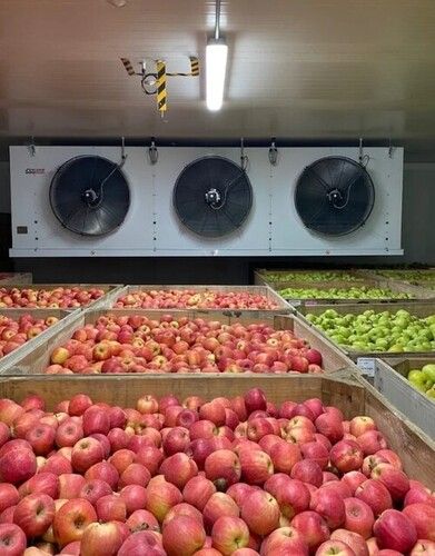 Vegetables And Fruits Cold Storage Room