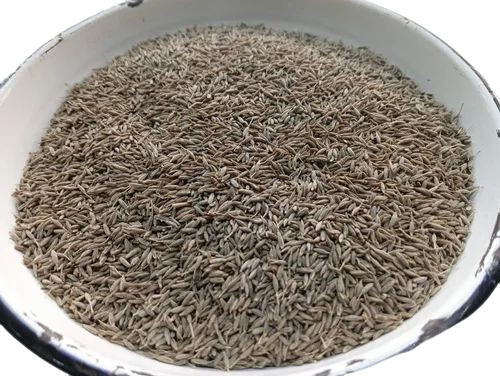 Organic Cumin Seed