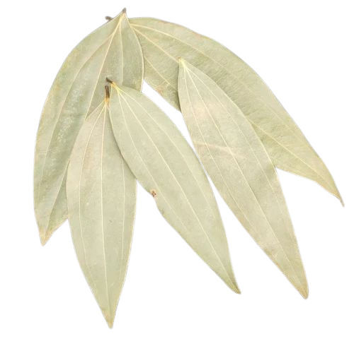 Bay Leaf