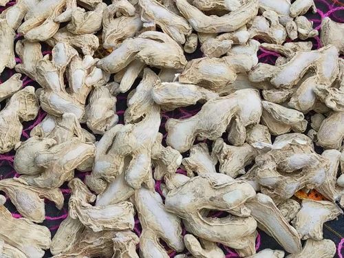 Dry Ginger - Fresh, 100% Pure Quality, Very Good Grade | Whole A Grade Pieces, Natural Taste, Good for Health, Dried Raw Form, Brown Color, Cool & Dry Storage