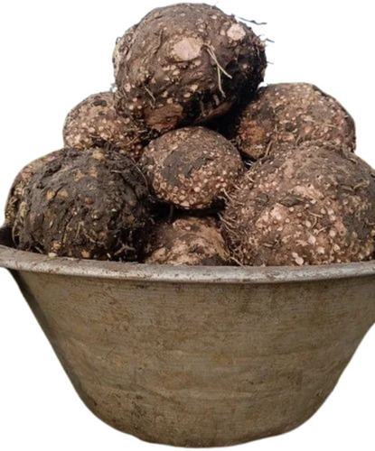 Elephant Foot Yam - Fresh Very Good Quality 100% Pure Vegetable | Chopped Round Shape Good for Health Cool & Dry Storage 15 Days Shelf Life Cooked Style
