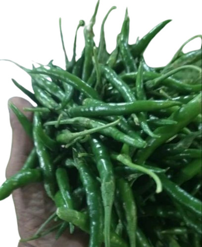 Fresh Green Chilli G4