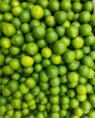 Fresh Lemons - Round Shape 15 Days Shelf Life | 100% Pure Common Cultivation Good for Health