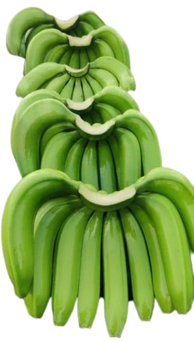 Green Cavendish Banana - Standard Size, Green Color | 98% Maturity, Very Good Quality, Good for Health