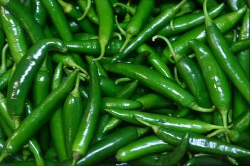 Green Chilli - Fresh Quality, 100% Pure & Elongated Shape | Good for Health, Suitable for Food Uses, Raw Processing, Shelf Life of 7 Days, Store in Cool & Dry Places