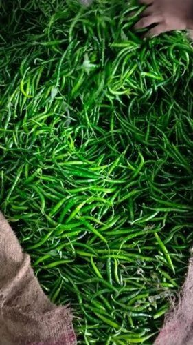 green chilli