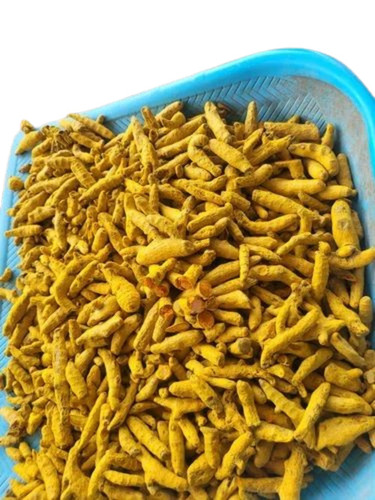 Organic Turmeric Finger - Whole Raw Dried Turmeric , 100% Pure Quality with Natural Taste and Health Benefits