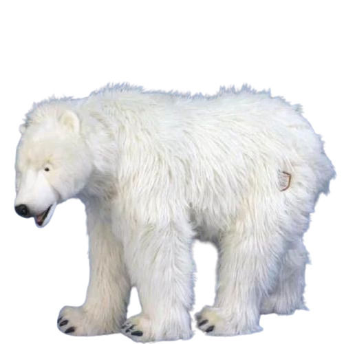 Polar Bear Soft Toys