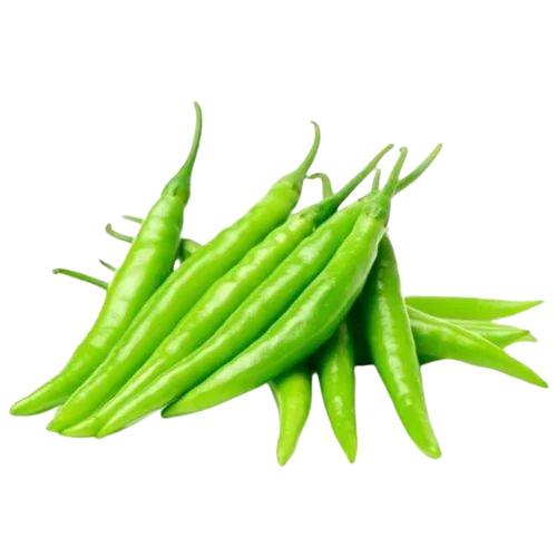 Pure Green Chilli - Fresh Quality 100% Purity Elongated Shape Raw Processing Form Preserved for 7 Days