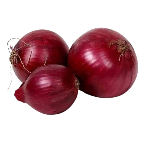 Red Onion - Fresh Very Good Quality, 100% Pure Chopped Vegetable | Good for Health, Round Shape, Shelf Life of 15 Days, Cooked Style, Preserve in Cool & Dry Places