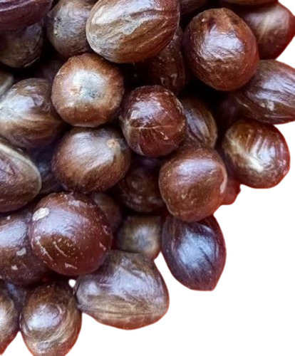 Whole Nutmeg With Shell - Color: Brown