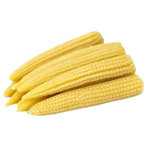 Baby Corn - Fresh Quality, 100% Pure Yellow Maize | Soft Texture, Good for Health, Natural Drying Process, 15 Days Shelf Life