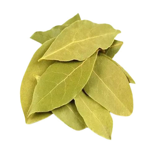 Bay Leaf 