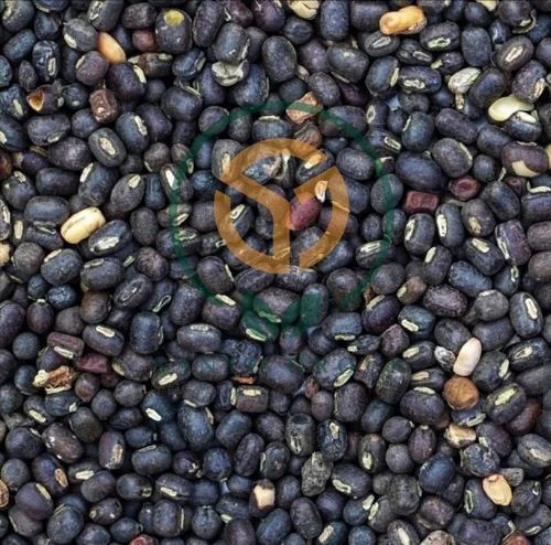 Black Urad Dal