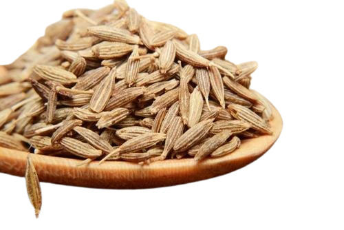 Cumin Seeds