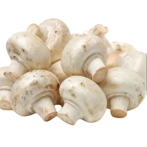 Fresh Button Mushrooms - Whole, Grade A Quality with 100% Purity | Good for Health, Naturally Cultivated, Raw, White Color