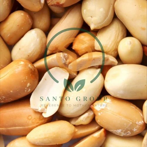 Groundnut Kernels Peanuts - Color: Cream