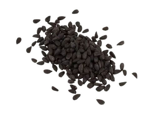 Kalonji Seeds - 100% Pure, Very Good Quality | Natural Dried, Fresh, Health Benefits, Common Cultivation