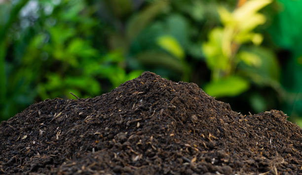 Organic Compost Fertilizer