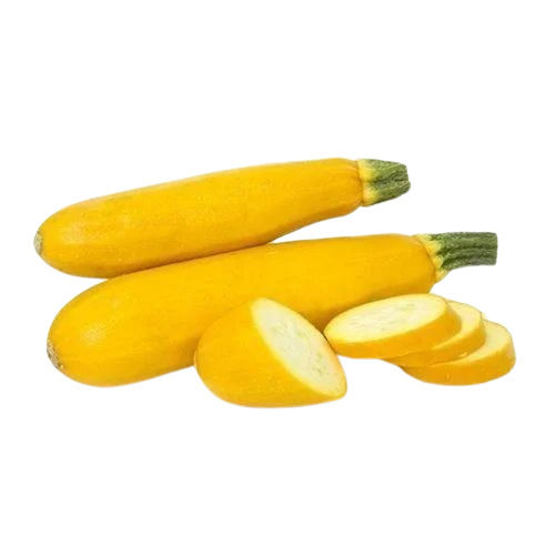 Yellow Zucchini 