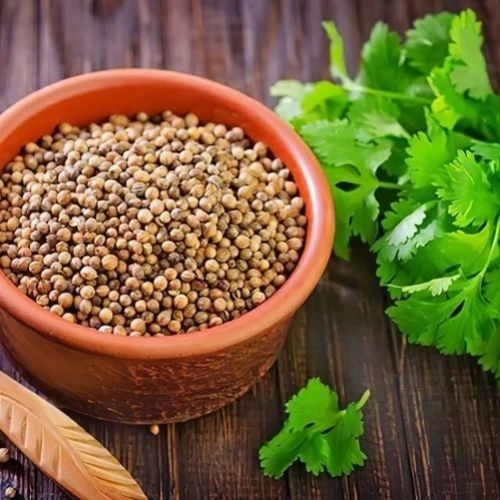 Coriander Seeds