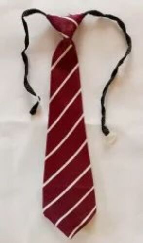 Maroon School Tie