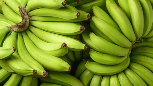 Raw Banana - Cultivation Type: Organic