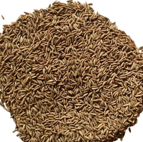 Dry Cumin Seeds