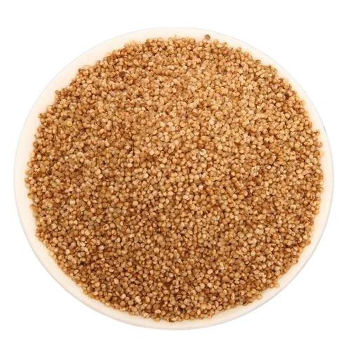 Organic Kodo Millet - Standard Size | Natural Dried, 100% Purity, Yellow Color, Hard Texture, Common Cultivation, 1-Year Shelf Life