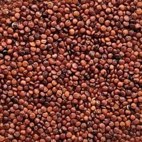 Quinoa Seeds