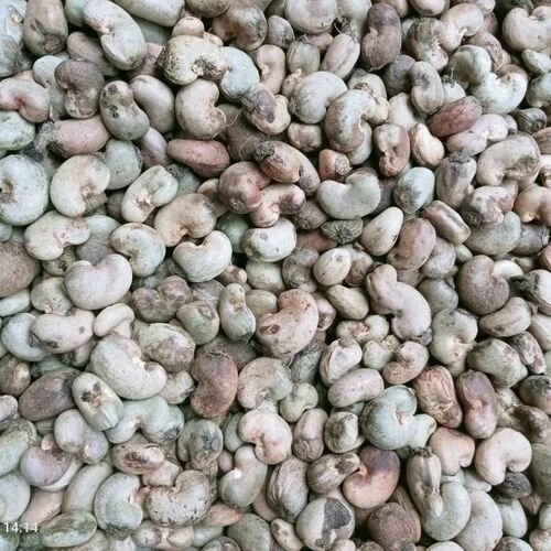 Raw Cashew Nuts 