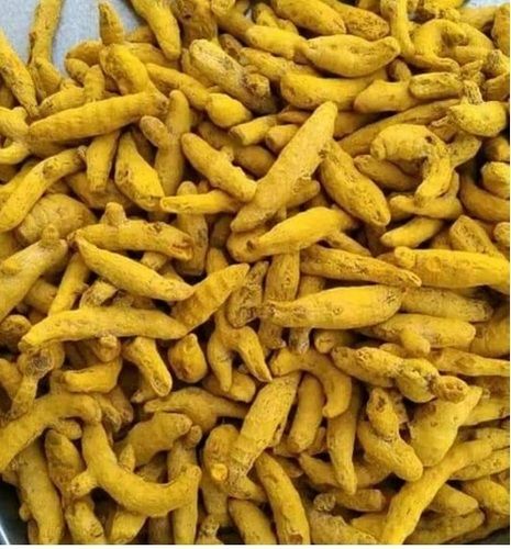 Turmeric Finger - Grade A, Whole Dried Root | Organic, Rich in Curcumin, Natural Earthy Flavor and Aroma