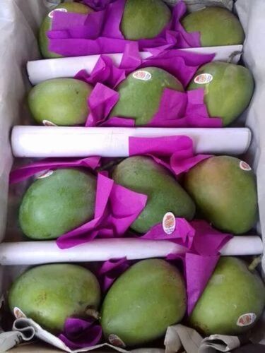 Alphonso Mangoes - Fresh, Very Good Quality | 100% Pure, Sweet Taste, Green Color, Oval Shape, High in Vitamin B & C, Good for Health