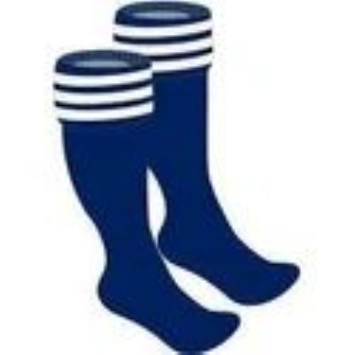 Premium Design Boys School Socks