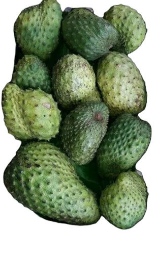 Soursop Fruit