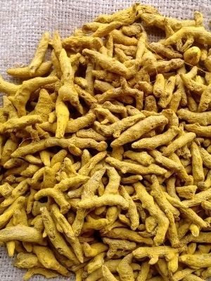 Dried Turmeric Fingers