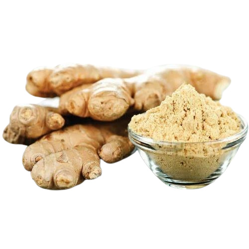 Ginger Powder - Fresh Quality, 100% Pure, Natural Dried, Good for Health | Natural Taste, Grade A, Shelf Life 1 Year, Cool & Dry Storage