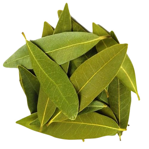 Bay Leaf - Fresh Natural Dried Spices | 100% Pure, Very Good Quality, Health Beneficial, Green Leaf, Grade A