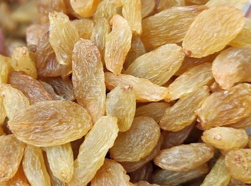 Dried Raisin - Very Good Quality, Fresh Golden Kishmish Variety | Sweet Taste, 6% Fiber, Good for Health