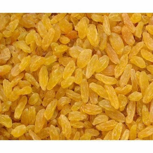 Golden Raisins - Very Good Quality, Sweet Taste | Dried Kishmish Dry Fruits, Elongated Shape, 18-22% Max Moisture, 6 Months Shelf Life