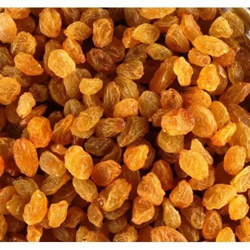 Malayari Raisins - Grade A, Elongated Shape, Golden Color | Sun-Dried, Sweet Taste, 100% Maturity, Health Benefits, 6 Months Shelf Life