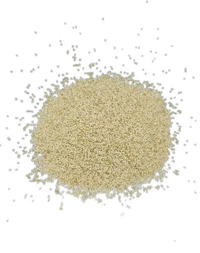 Poppy Seeds - Grade A, 100% Pure White Natural Drying Process | Fresh & Very Good Quality, Health Beneficial Spices Seeds