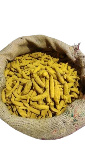 Rajapuri Turmeric