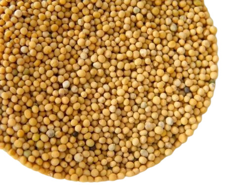 Yellow Mustard Seed - Fresh Quality, Very Good Grade A Oil Seeds | 100% Purity, Natural Drying Process, Health Beneficial Spices