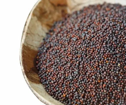 Black Mustard Seeds - Very Good Quality, 100% Purity | Fresh Oil Seeds, Good for Health, Natural Drying Process