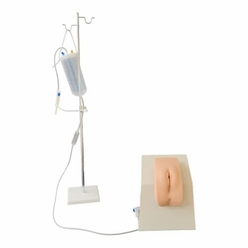 Male & Female Catheterization Training Model Set - PVC Anatomy Model For Medical Teaching & Practice